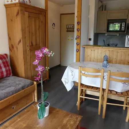 Apartment Ensoleille - 4 Pers. Pralognan-la-Vanoise